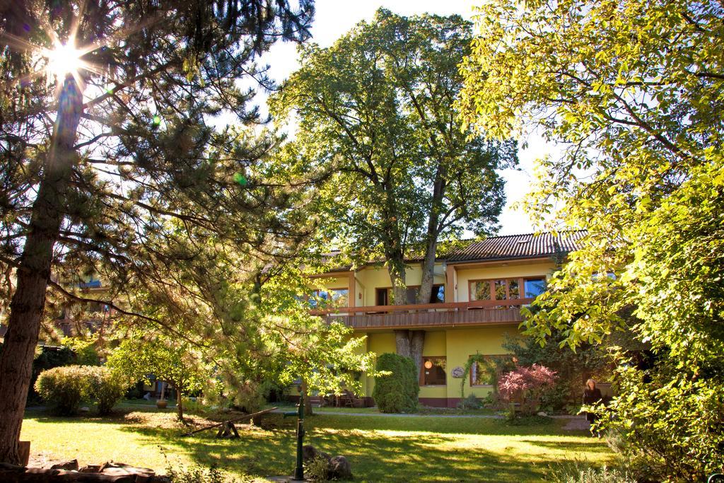 Appartementhaus Witzmann Bad Voeslau Dış mekan fotoğraf